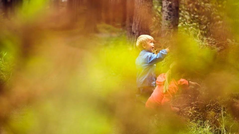 Lenkje til artikkel: Saman mot mobbing i barnehagen