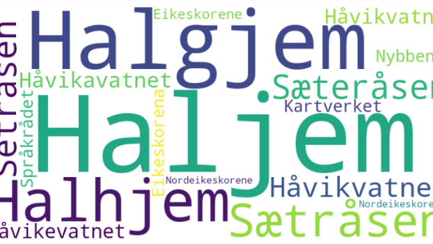 Lenkje til artikkel: Kva skal namnet vere?