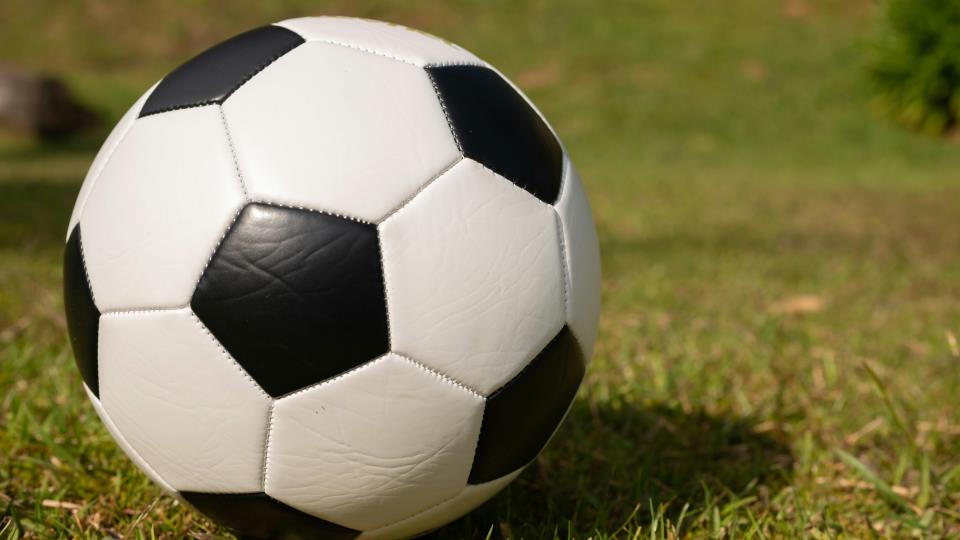 Lenkje til artikkel: Velkommen til Fotball-VM på Luranetunet!