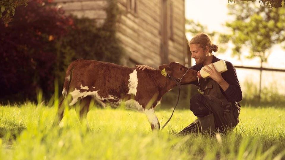 Lenkje til artikkel: SMIL-retningslinjer vedtatt 