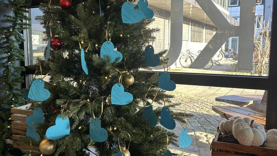 Lenkje til artikkel: Hjartetre: Vil du glede nokon som har lite til jul?