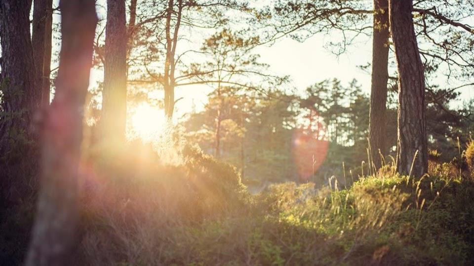 Lenkje til artikkel: Har du sendt innspel til KPA? Fristen nærmar seg