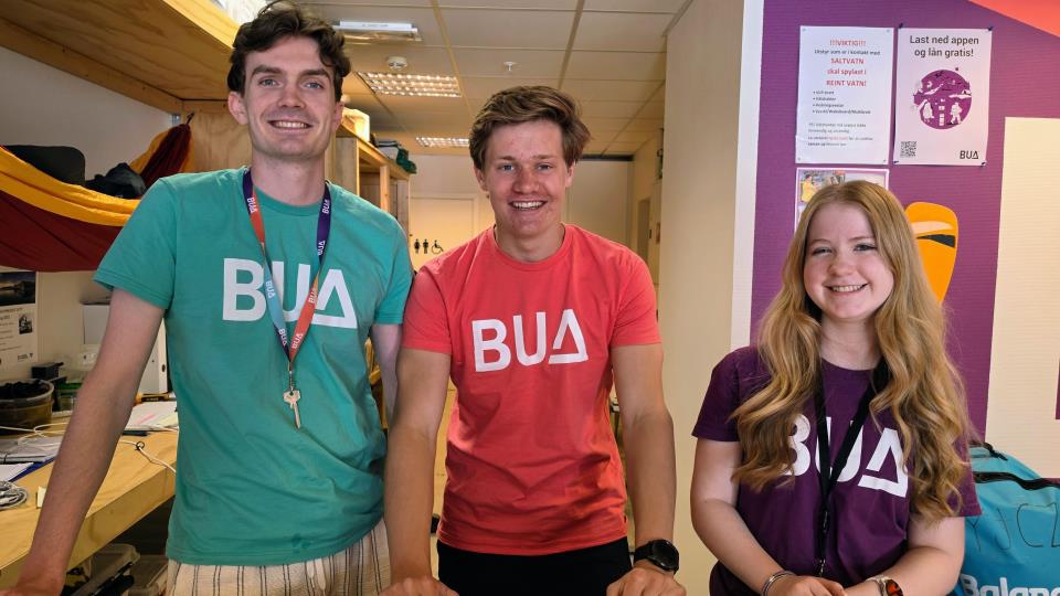 Lenkje til artikkel: Sjå etter BUA-flagget i sommar!