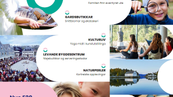 Lenkje til artikkel: Endå meir Bjørnafjorden!