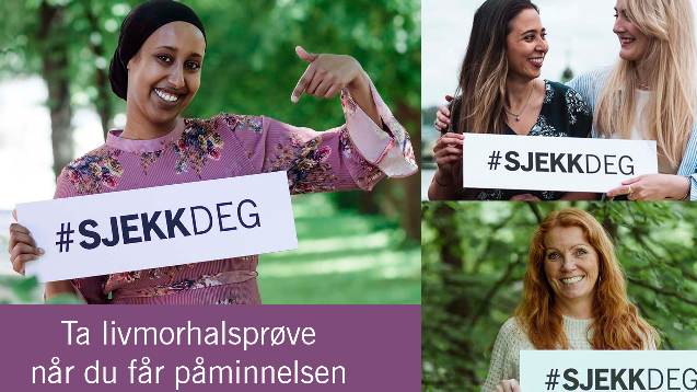 Lenkje til artikkel: Husk å sjekke deg!